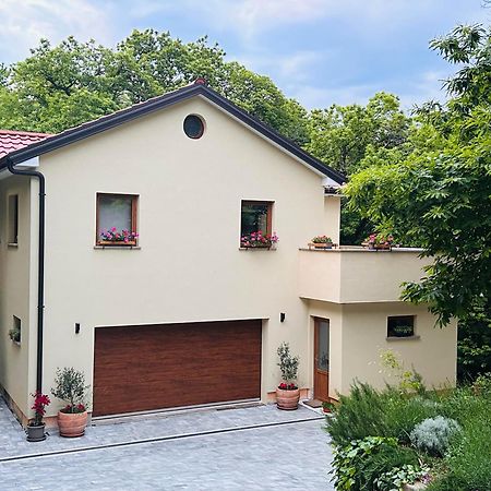 Apartment With A Terrace Forest Home Lullula Veprinac Extérieur photo